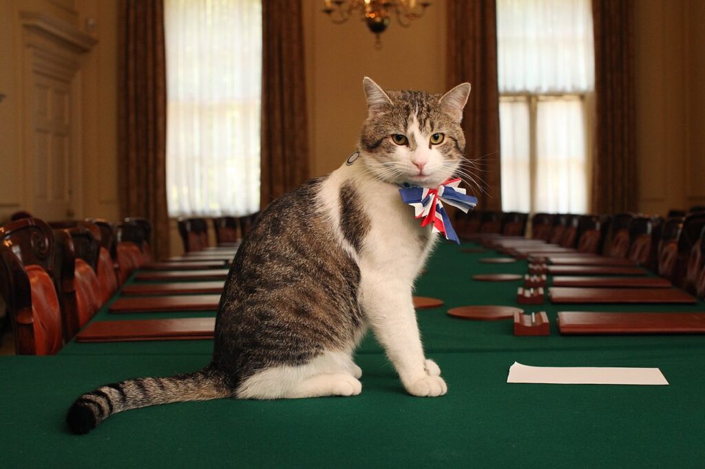 Larry il gatto di Downing Street