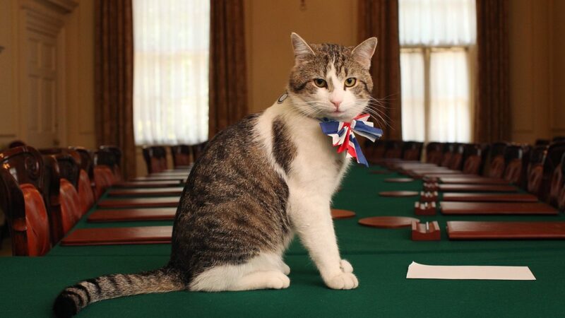 Larry, il gatto di Downing Street