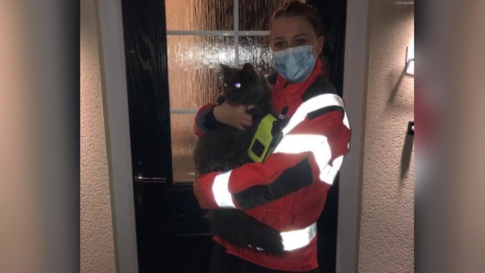 Notizie sui gatti Aprile 2021, Norman, il gatto intrappolato nella fognatura salvato dai vigili del fuoco